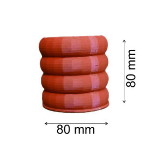 PPSLT-2