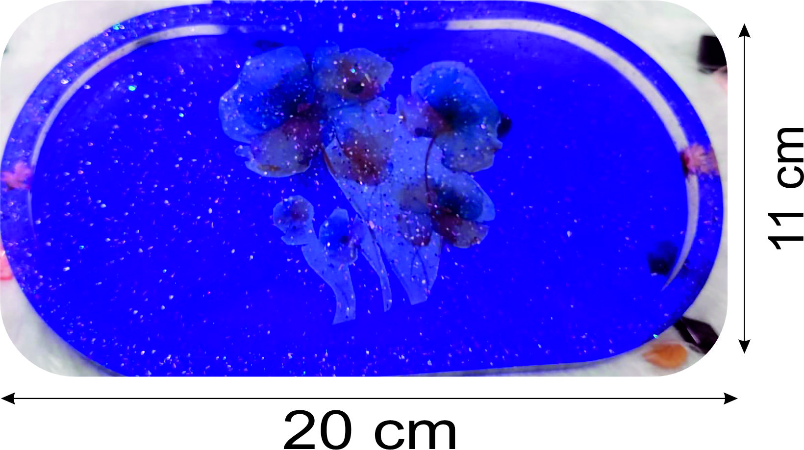 Tray with Utility Box (Voilet) - (Set of 3) - Image 3